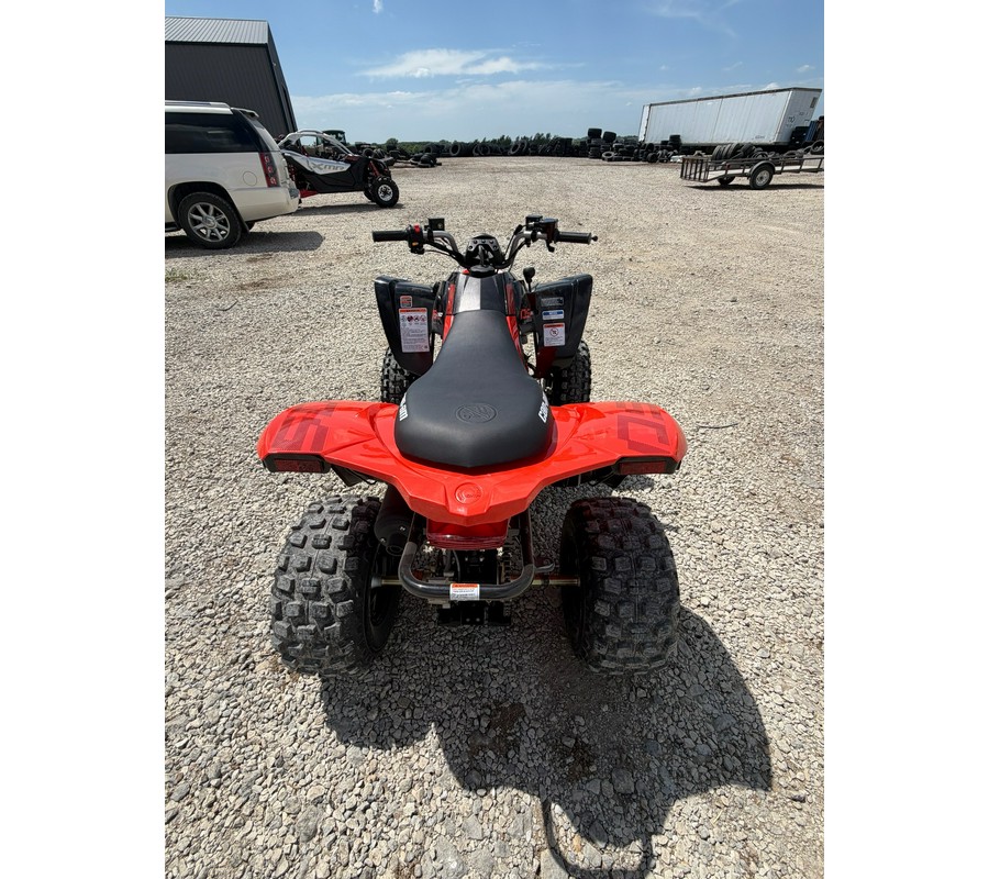 2026 Can-Am DS 250