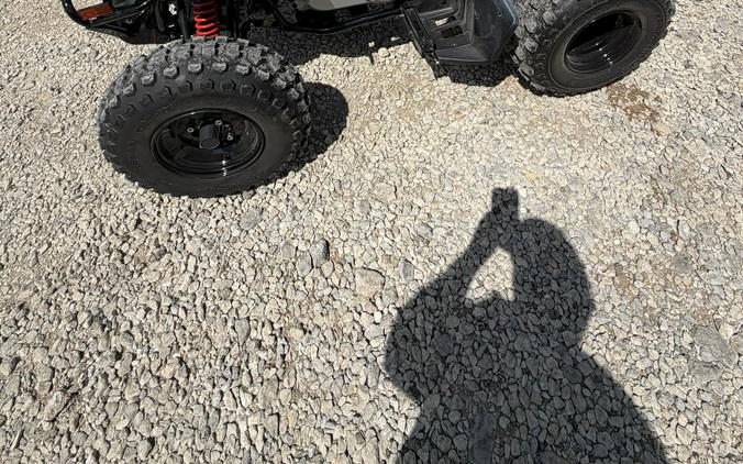 2026 Can-Am DS 250