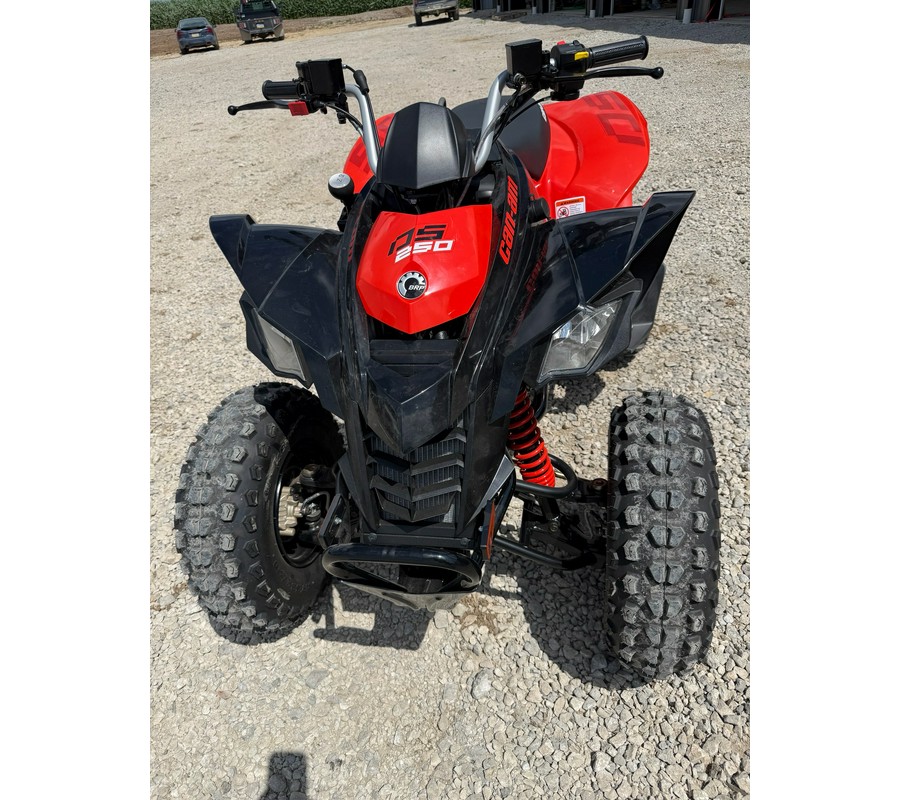 2026 Can-Am DS 250
