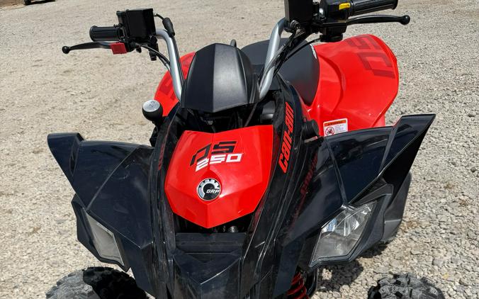 2026 Can-Am DS 250