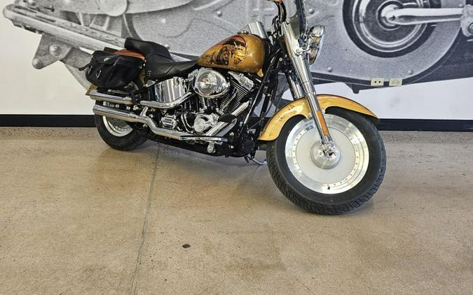 2003 Harley-Davidson® FLSTFI - Fat Boy® Injection