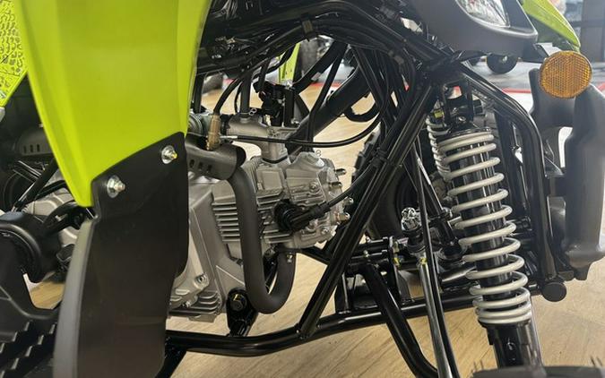 2026 Yamaha Raptor 110