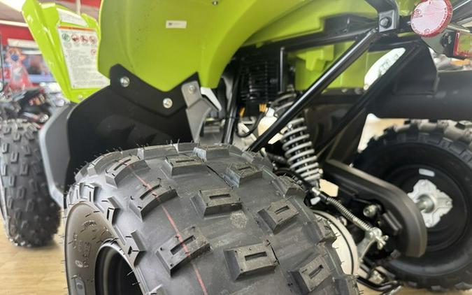 2026 Yamaha Raptor 110