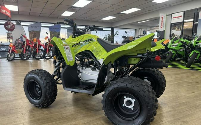 2026 Yamaha Raptor 110