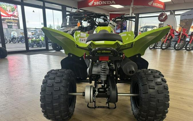 2026 Yamaha Raptor 110