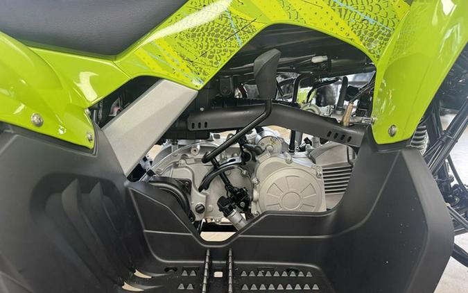 2026 Yamaha Raptor 110