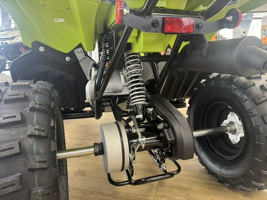 2026 Yamaha Raptor 110