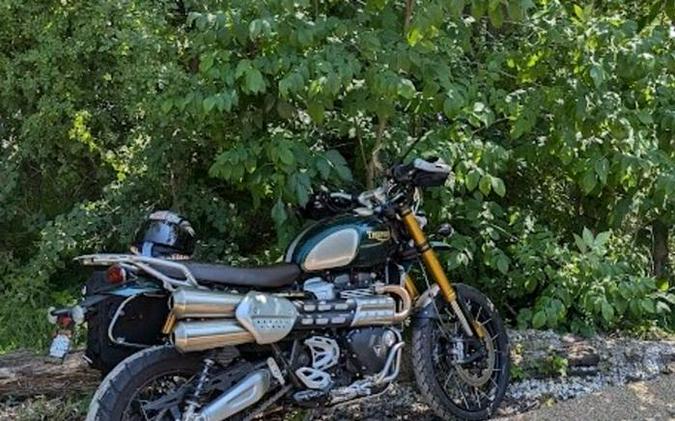 2022 Triumph Scrambler 1200 Steve McQueen Edition Competition Green