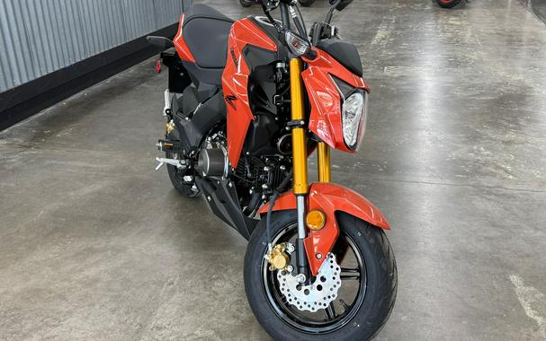 2025 Kawasaki Z125 PRO