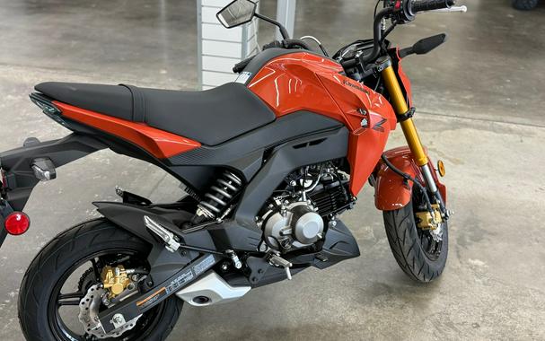 2025 Kawasaki Z125 PRO