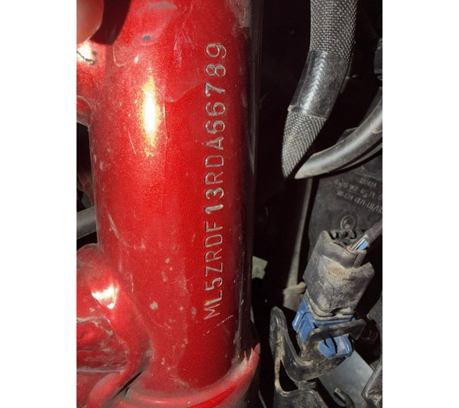 2024 Kawasaki Z900 ABS Candy Persimmon Red/Ebony