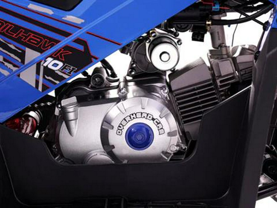 2025 Denago Powersports Trailhawk 10FI