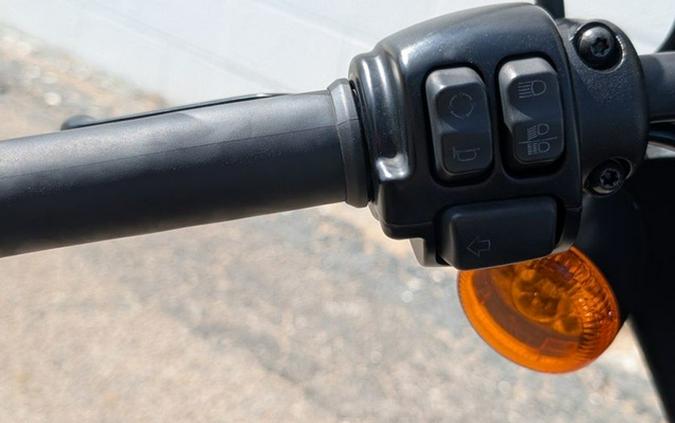 2018 Harley-Davidson XL883N - Sportster Iron 883