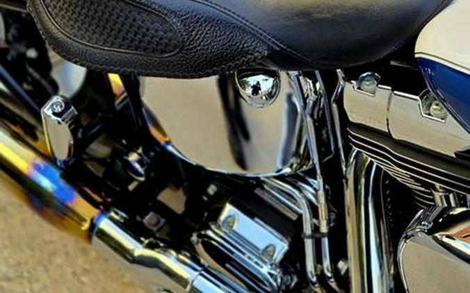 2005 Harley-Davidson® FLSTN - Softail® Deluxe