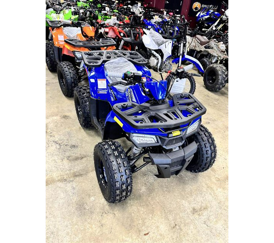 2025 Tao Motor MudHawk 10