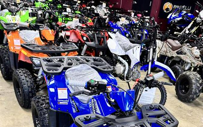 2025 Tao Motor MudHawk 10