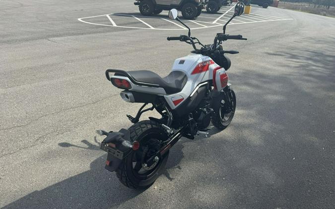 2026 CFMOTO Papio CL