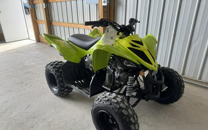 2026 Yamaha Raptor 110