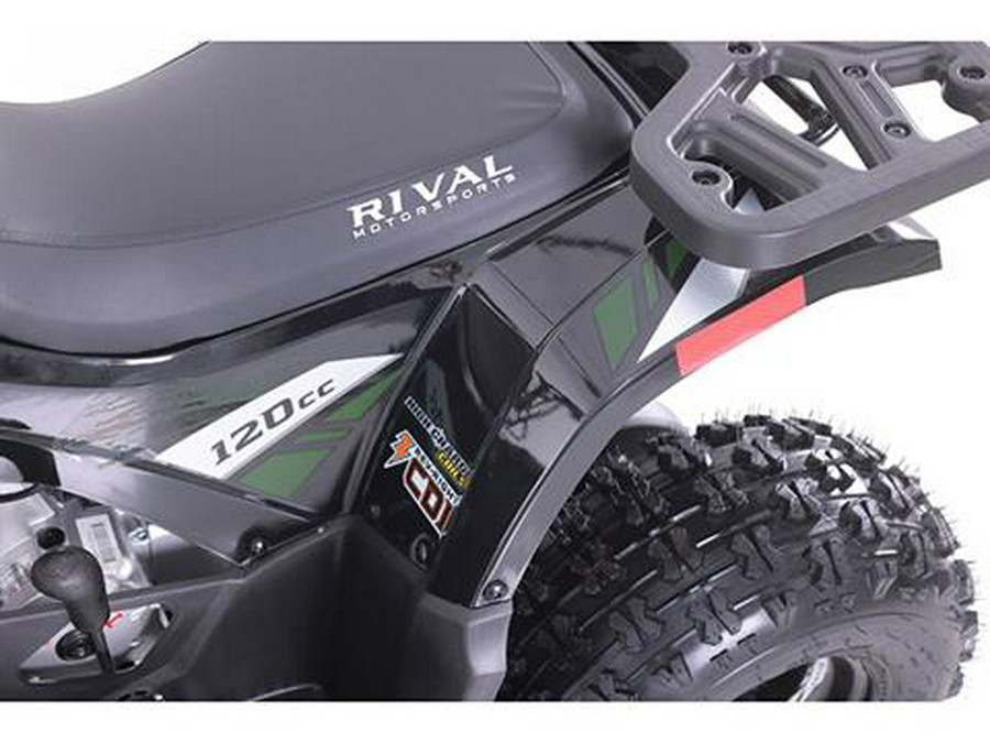 2025 Tao Motor MudHawk 10