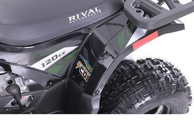 2025 Tao Motor MudHawk 10