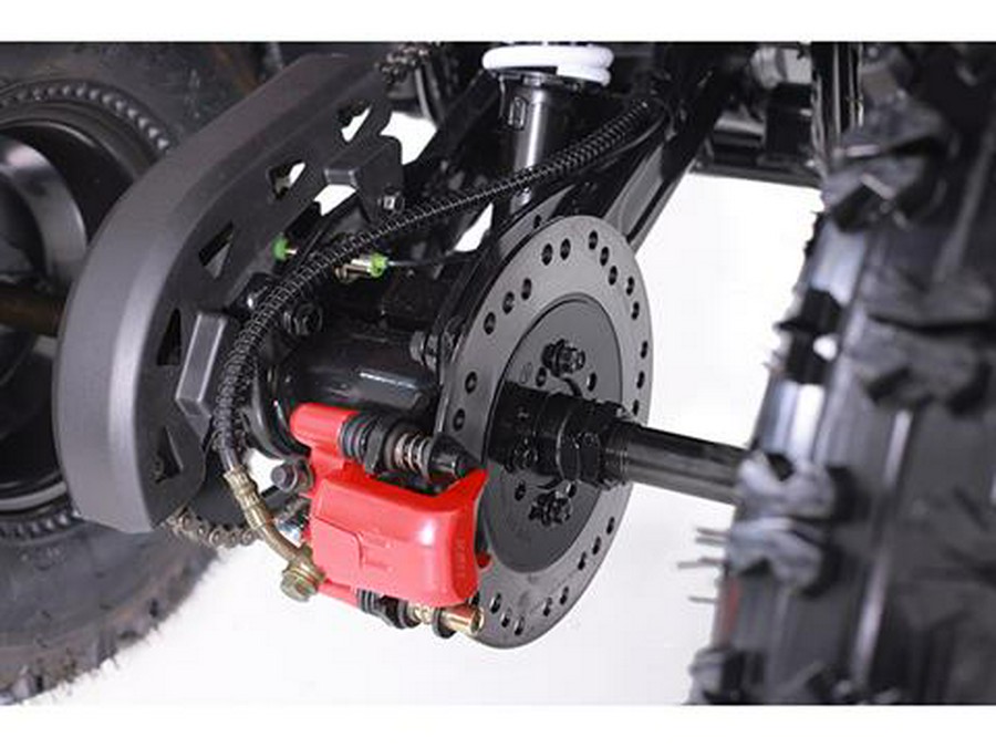 2025 Tao Motor MudHawk 10