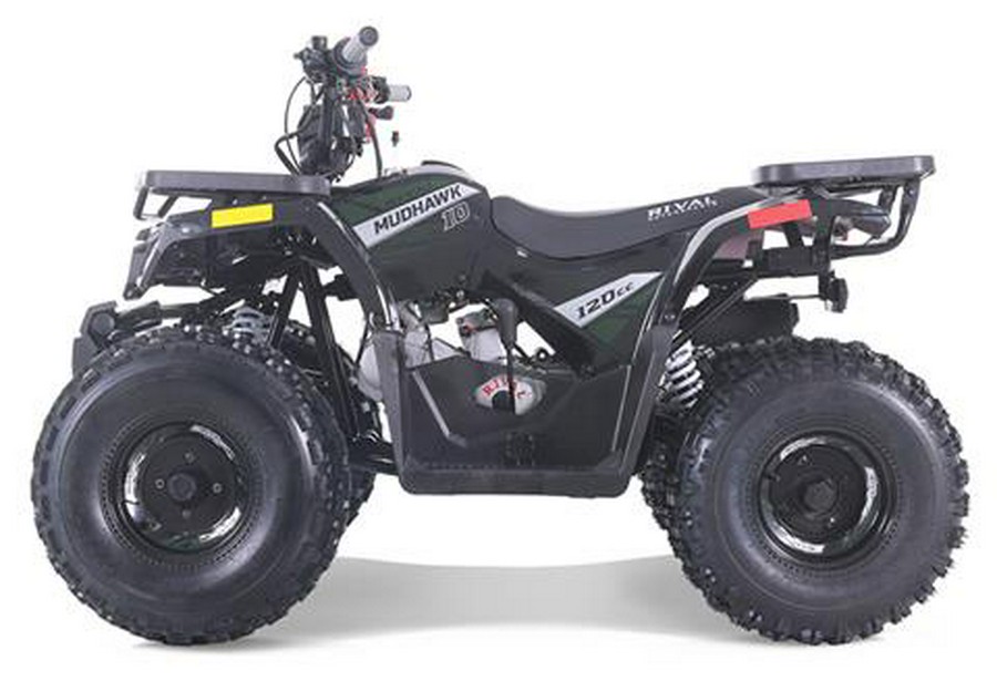 2025 Tao Motor MudHawk 10