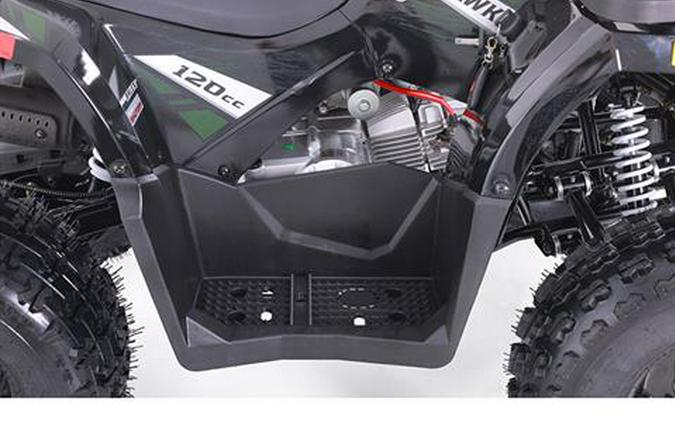 2025 Tao Motor MudHawk 10