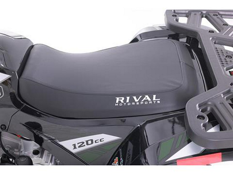 2025 Tao Motor MudHawk 10