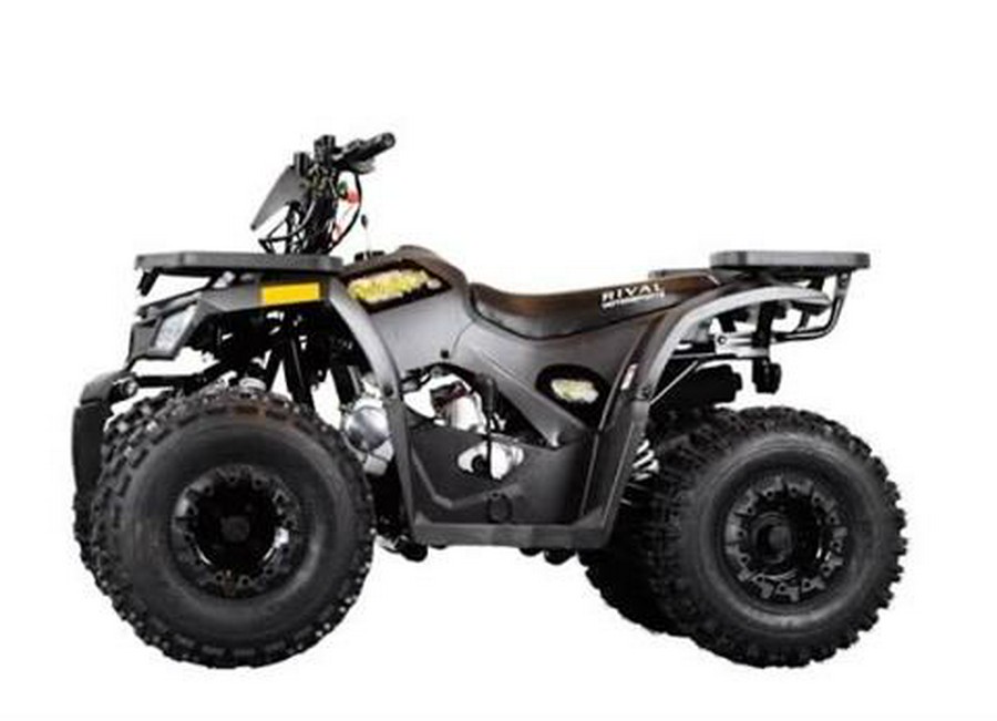 2025 Tao Motor MudHawk 10