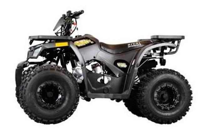 2025 Tao Motor MudHawk 10