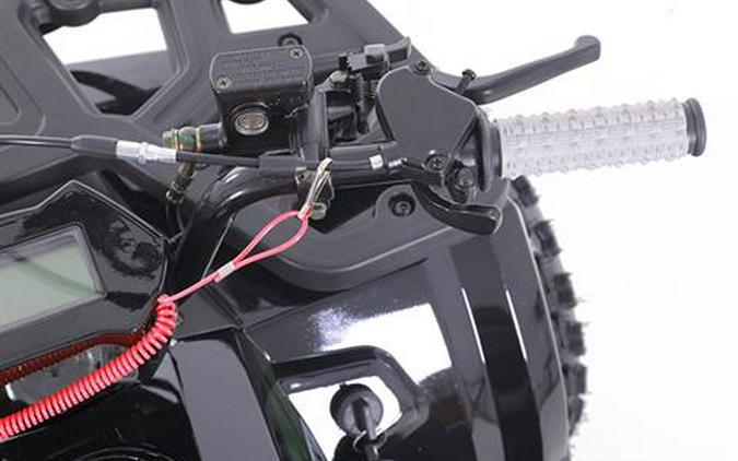 2025 Tao Motor MudHawk 10