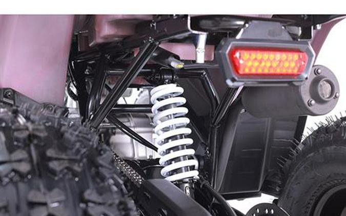 2025 Tao Motor MudHawk 10