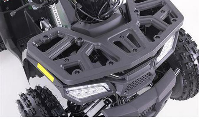 2025 Tao Motor MudHawk 10