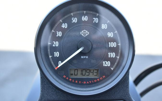 2022 Harley-Davidson Iron 883