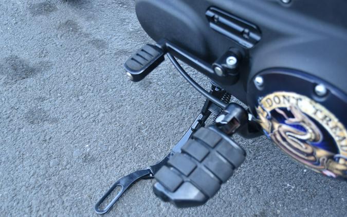 2022 Harley-Davidson Iron 883