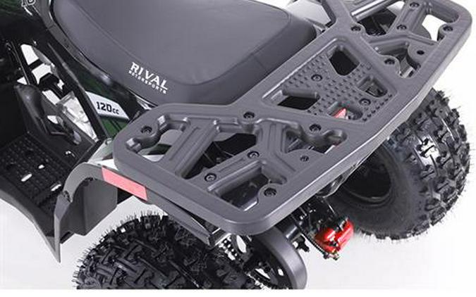 2025 Tao Motor MudHawk 10