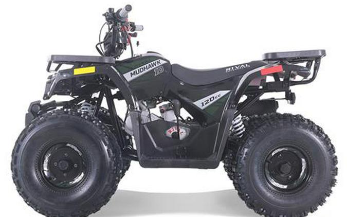 2025 Tao Motor MudHawk 10