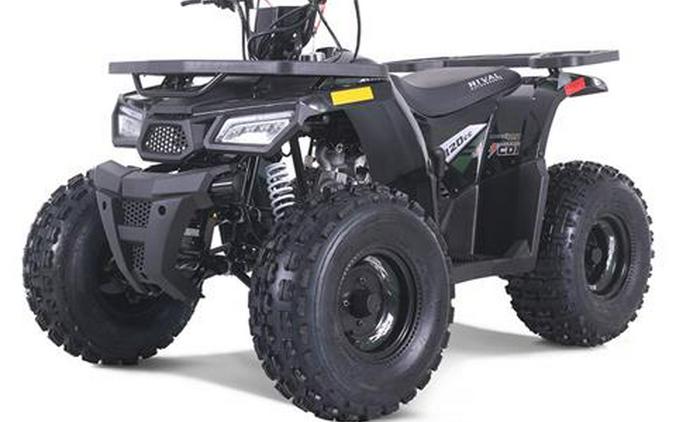 2025 Tao Motor MudHawk 10