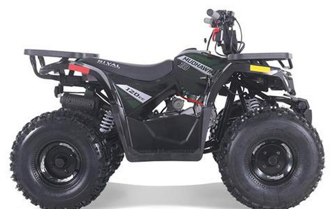 2025 Tao Motor MudHawk 10