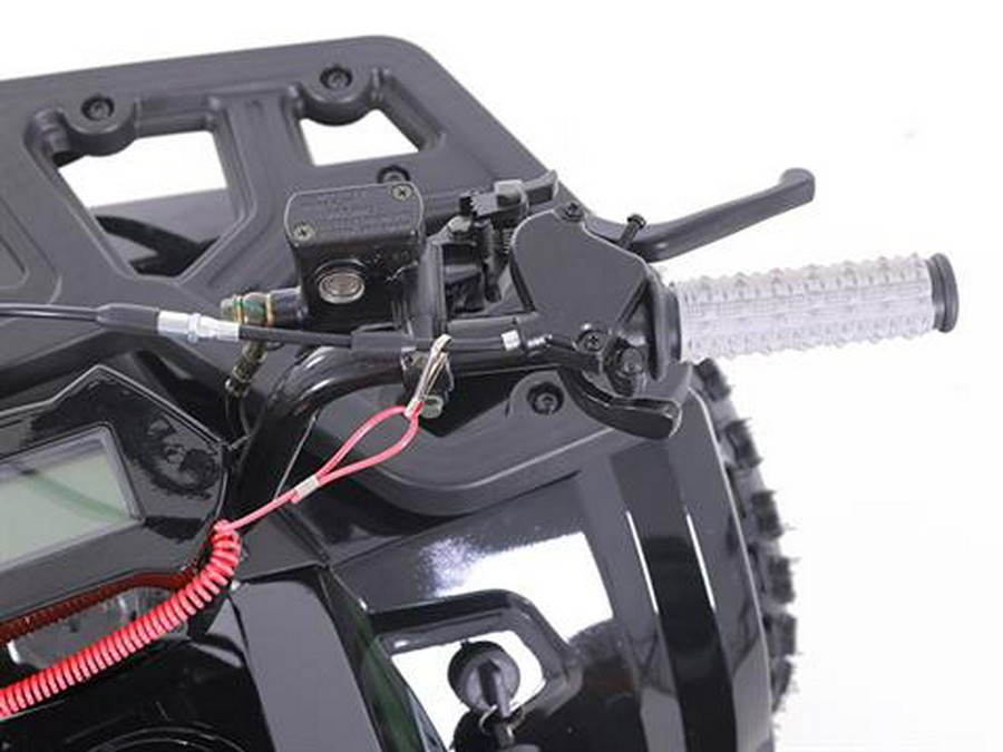 2025 Tao Motor MudHawk 10