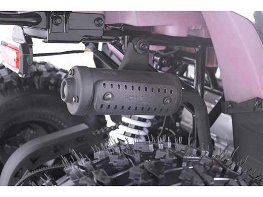 2025 Tao Motor MudHawk 10