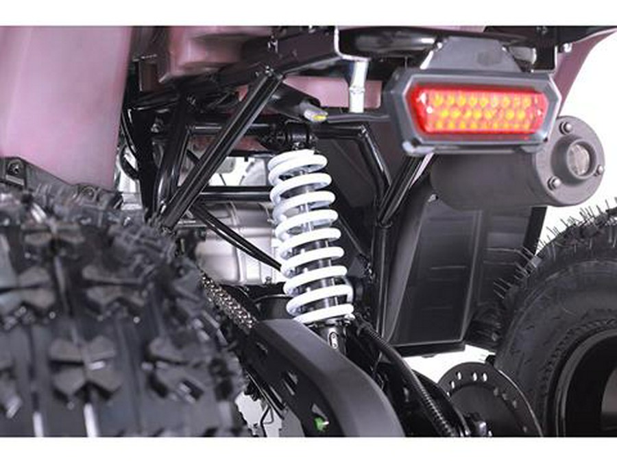 2025 Tao Motor MudHawk 10