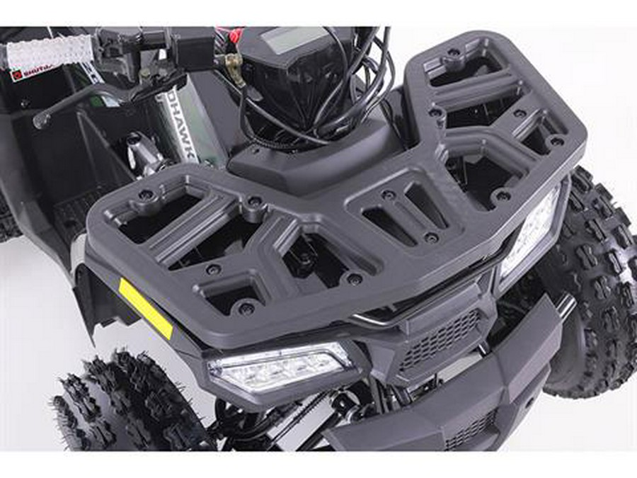 2025 Tao Motor MudHawk 10