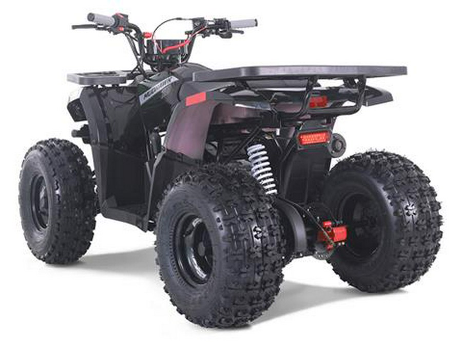 2025 Tao Motor MudHawk 10