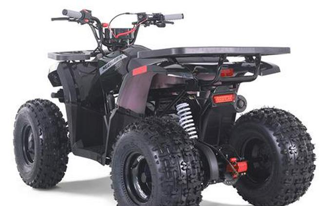 2025 Tao Motor MudHawk 10