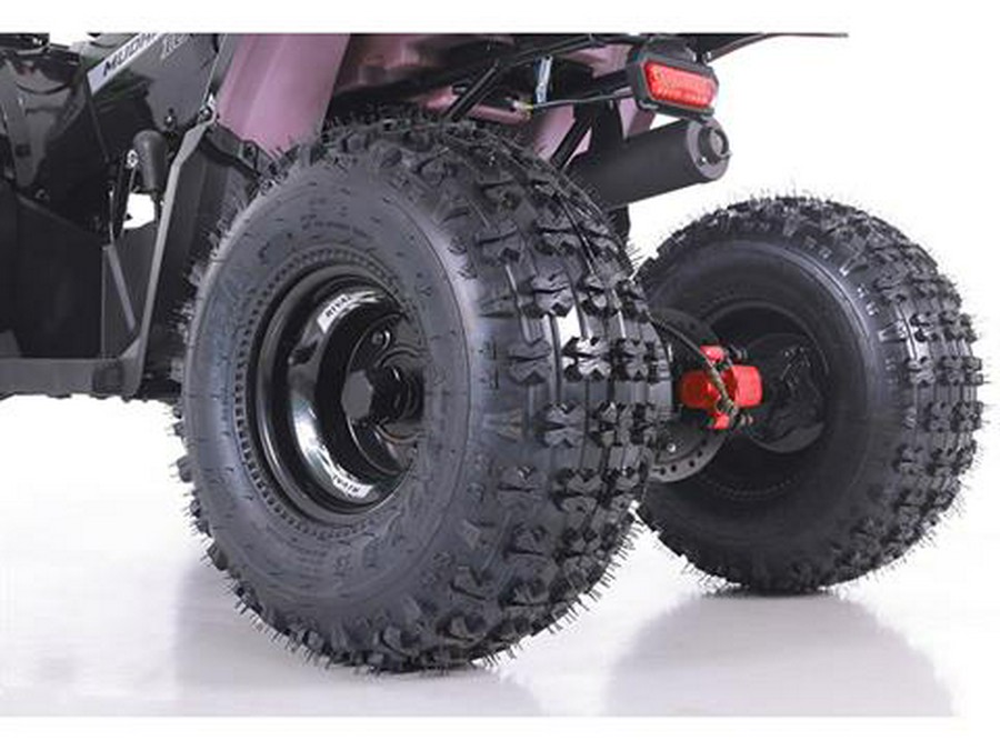 2025 Tao Motor MudHawk 10