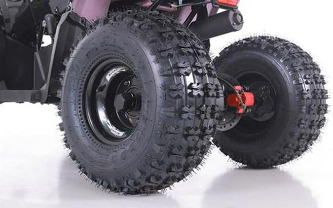 2025 Tao Motor MudHawk 10