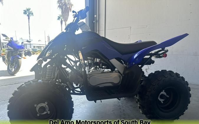 2025 Yamaha RAPTOR 110