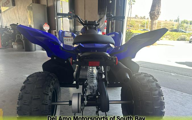 2025 Yamaha RAPTOR 110