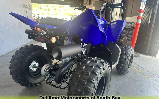 2025 Yamaha RAPTOR 110